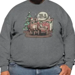 This Is Festive - Funny Meme Christmas Gift Premium Sweatshirt VTM0309
