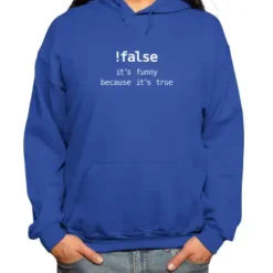 Funny False Programming Coding For Programmers Classic Pullover Hoodie VTM0461