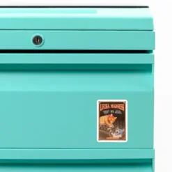 Lucha Madness Custom Shape Magnet VTM1076