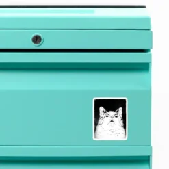 Surprise Cat Custom Shape Magnet VTM1098